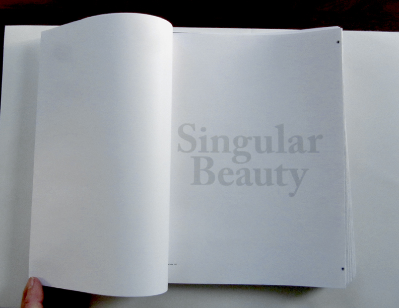 Singular Beauty book sample